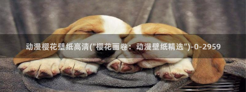 樱花动漫在线看集