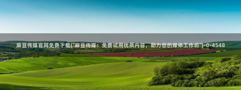 麻豆视频 专区下载：麻豆传媒官网免费下载(\