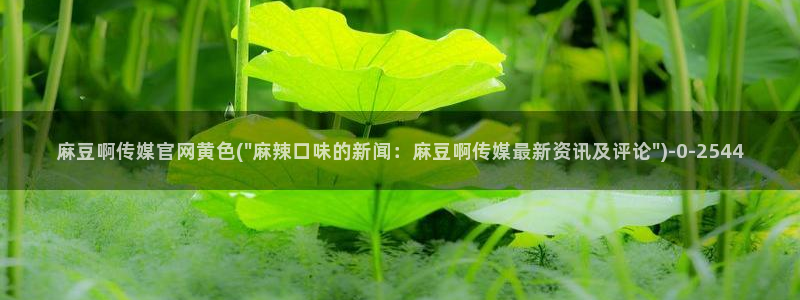 麻豆 完整版专区：麻豆啊传媒官网黄色(\