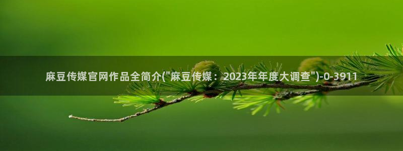 麻豆热门视频：麻豆传媒官网作品全简介(\