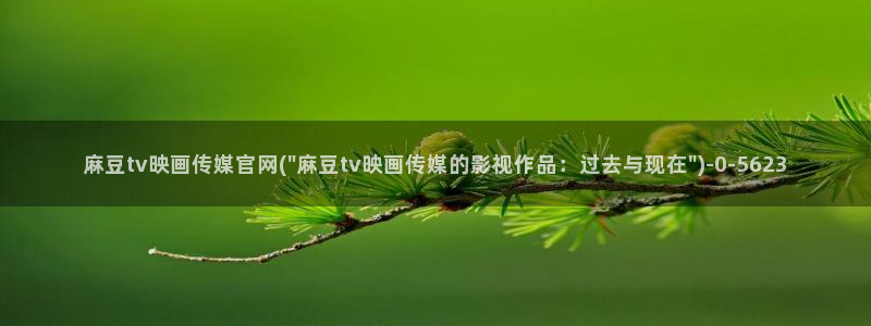 麻豆视频 在线看在线看：麻豆tv映画传媒官网(\
