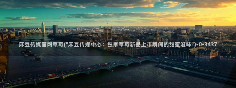 麻豆视频专区：麻豆传媒官网草莓(\