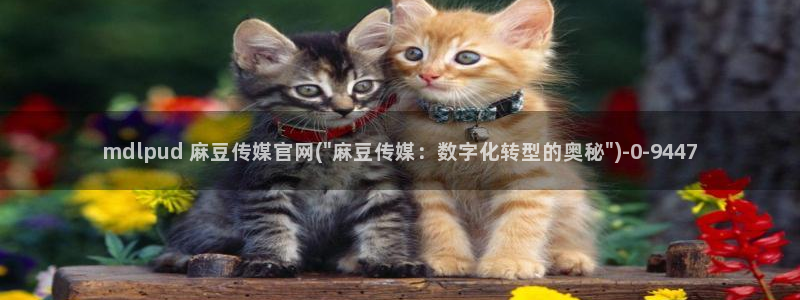 麻豆视频资源导航：mdlpud 麻豆传媒官网(\