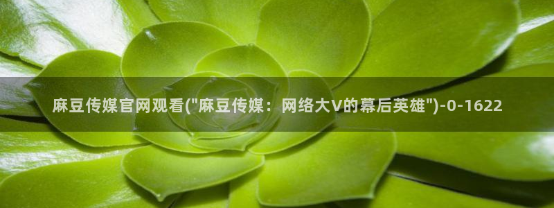 麻豆 高清视频：麻豆传媒官网观看(\