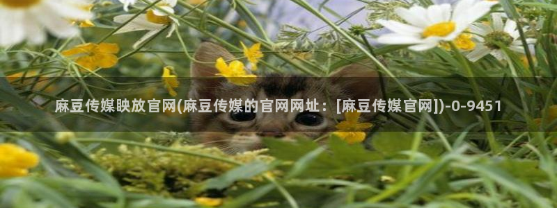 麻豆高清资源：麻豆传媒眏放官网(麻豆传媒的官网网