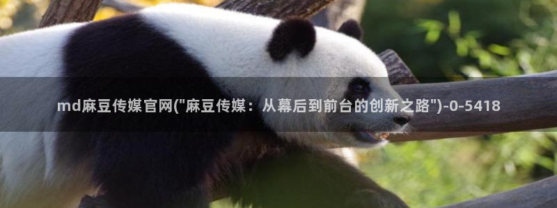 麻豆视频官方专区：md麻豆传媒官网(\