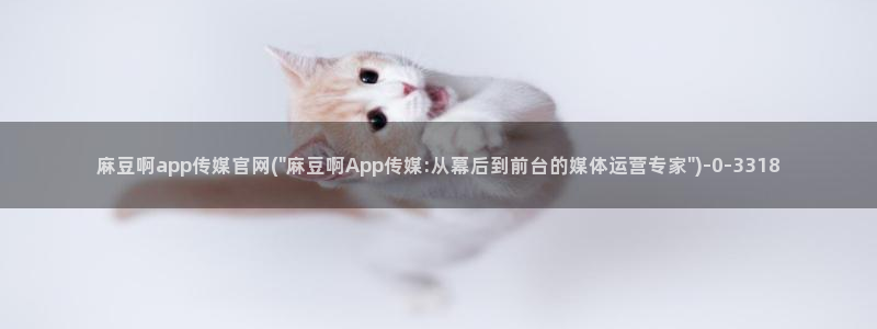 麻豆合集导航：麻豆啊app传媒官网(\