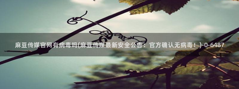 麻豆更新最新：麻豆传媒官网有病毒吗(麻豆传媒最新安全