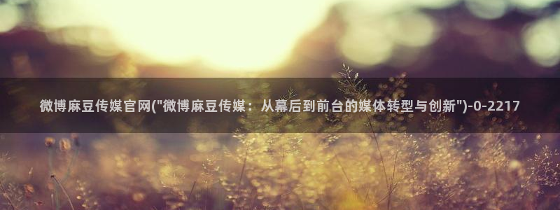 麻豆 下载导航：微博麻豆传媒官网(\