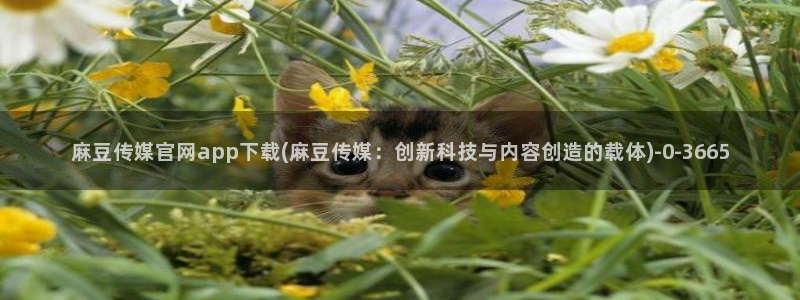 麻豆官方：麻豆传媒官网app下载(麻豆传媒：创新