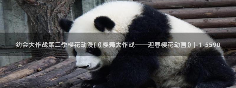 樱花动漫—专注动漫的门户网站