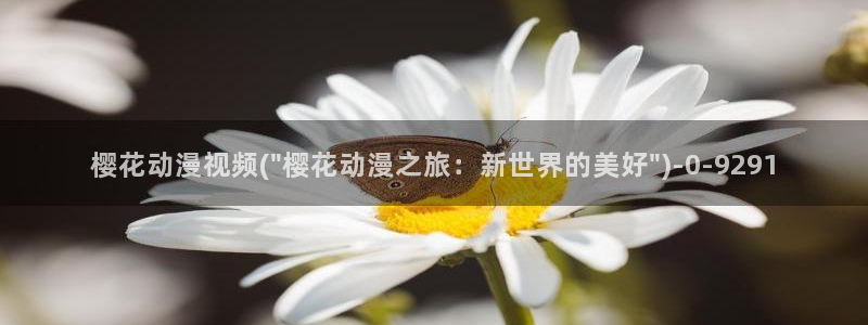 动漫樱花动漫