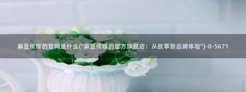 麻豆 合集：麻豆传媒的官网是什么(\