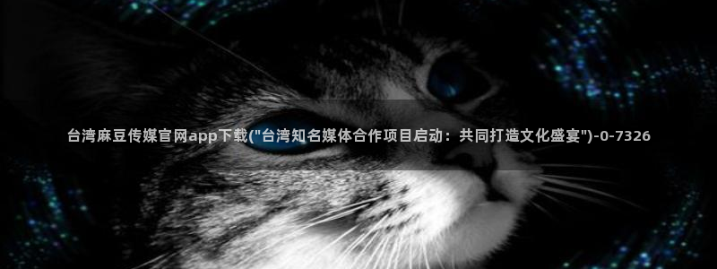 麻豆高清完整版：台湾麻豆传媒官网app下载(\