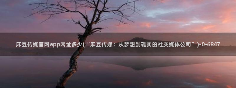 麻豆视频 合集最新：麻豆传媒官网app网址多少(“麻豆传媒：从梦想到现实的社交媒体公司”)
