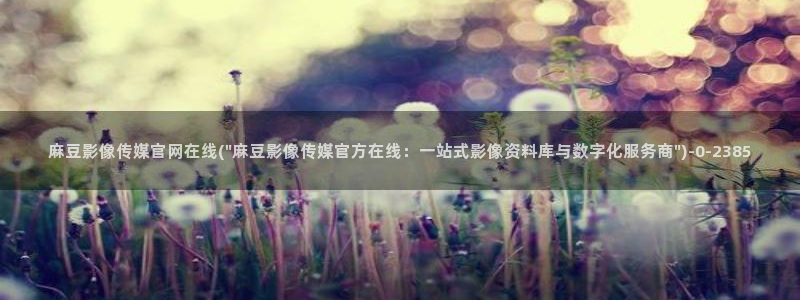 麻豆视频推荐完整版：麻豆影像传媒官网在线(\