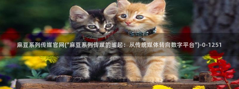 麻豆 精选高清：麻豆系列传媒官网(\