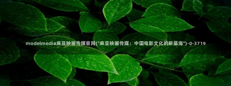 麻豆视频专区合集：modelmedia麻豆映画传媒官网(\