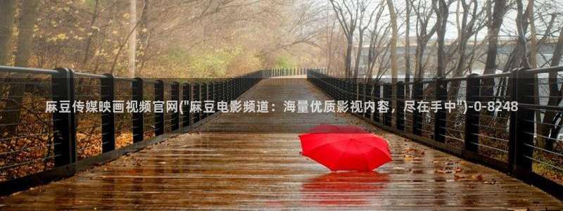 麻豆视频图集资源：麻豆传媒映画视频官网(\