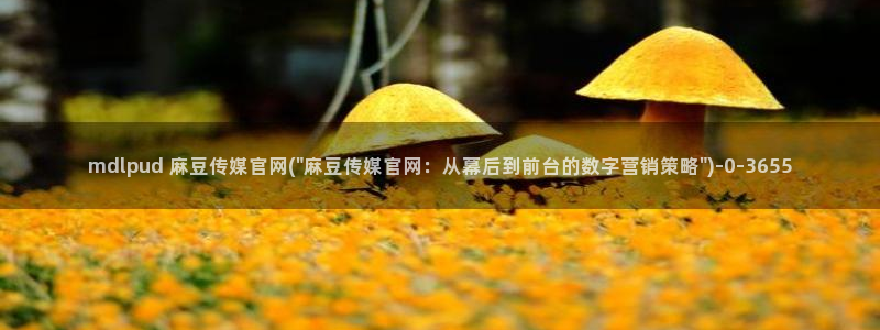 麻豆视频 热门导航