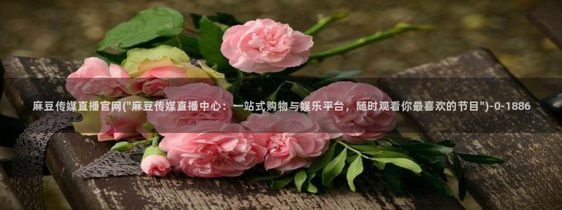 麻豆视频 官方推荐：麻豆传媒直播官网(\