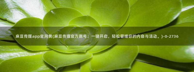 麻豆下载：麻豆传媒app官网黄(麻豆传媒官方账号：一键开启，轻松管理你的内容与活动。)