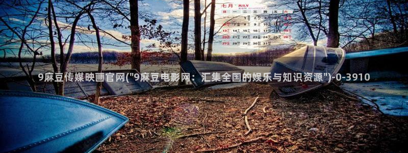 麻豆 精选专区：9麻豆传媒映画官网(\