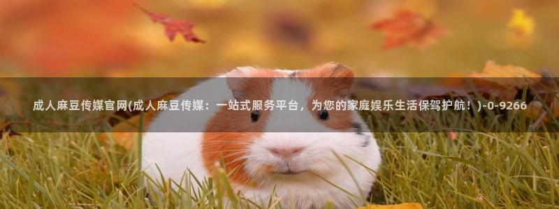 麻豆视频资源推荐