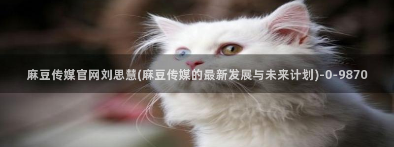 麻豆视频下载导航